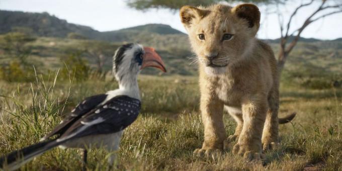 "Liūtas karalius": šiek tiek Simba ir Zazu