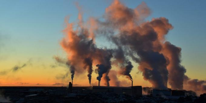 "Šeštoji išnykimas": Kiekvienais metais mes išmeta į atmosferą maždaug 9 milijardų tonų anglies