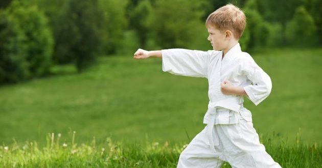 sporto klubai: Karate
