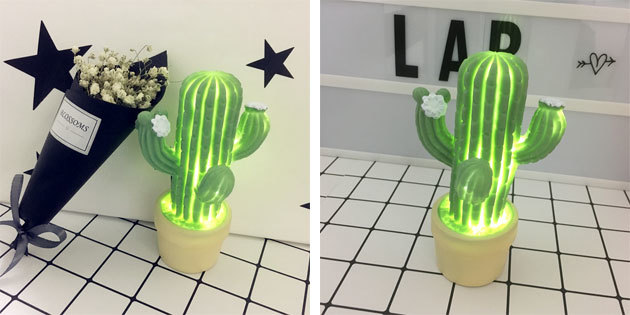 Į kaktusas forma lempa