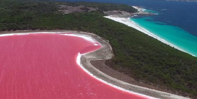 Neįtikėtina graži vieta: Rožių ežeras Hillier, Australija