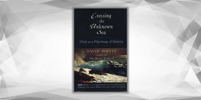 Kirtimo Nežinomas jūra, Davidas Balta