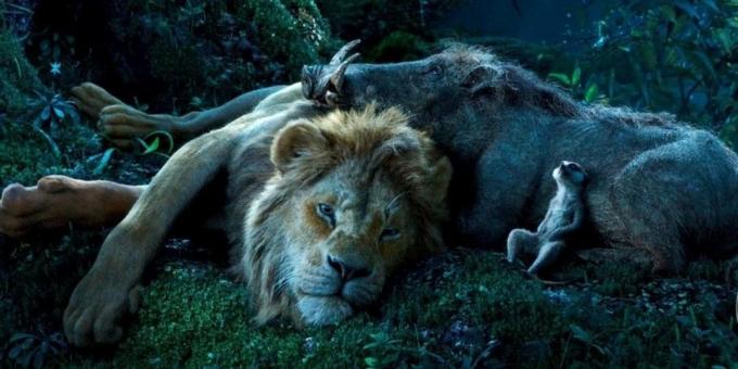 "Liūtas karalius": Simba Timon ir Pumbaa