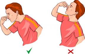 Kaip sustabdyti nosies