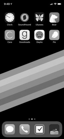 "iPhone" juodai-balta ekranas