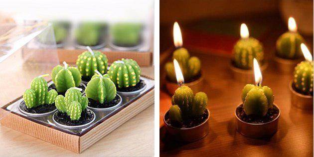 Žvakės, kaktusai