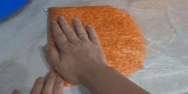 Kaip užšaldyti morkų: morkų paketai gali būti platinami ir taip gauti plokščią tuščias