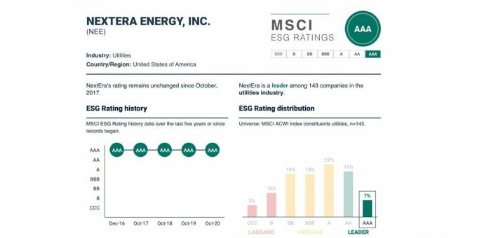 ESG įvertinimas ir jo dinamika „NextEra Energy“, $ NEE, 2021 m. Gegužė.