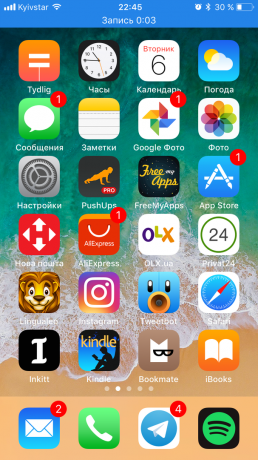 "iOS" 11: įvedimo langas