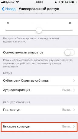 Tamsiai režimas Safari dėl iPhone: greičiau komanda