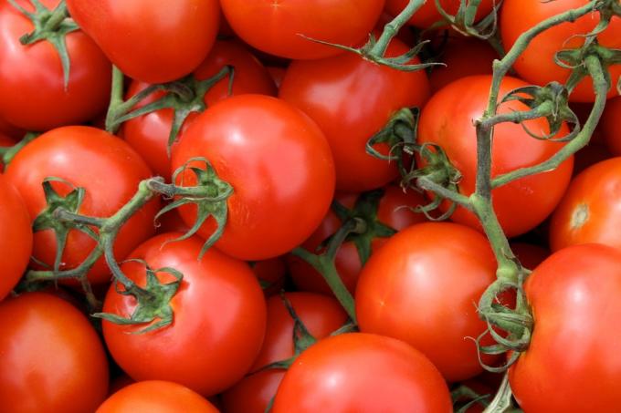 naudingų produktų: pomidorai