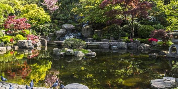 Ką pamatyti Londone: Japonijos Kioto sodas Holland Park