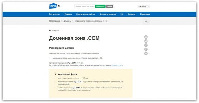 Kaip užregistruoti domeną: Domain Information sritis