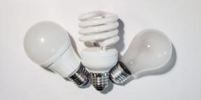 Ką reikia žinoti apie LED lempos