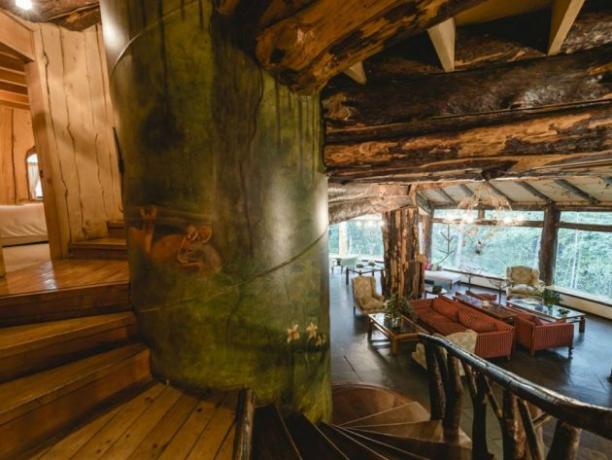 Viešbutis "Magic Mountain Hotel yra įsikūręs Čilės saugomų miškų