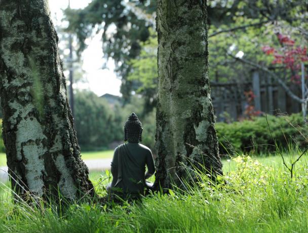 Nerimo sutrikimas gali būti užkariauta per meditaciją
