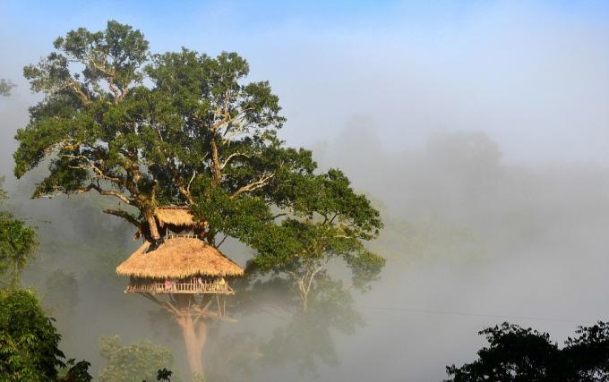 Bokeo gamtos rezervatas, Laosas
