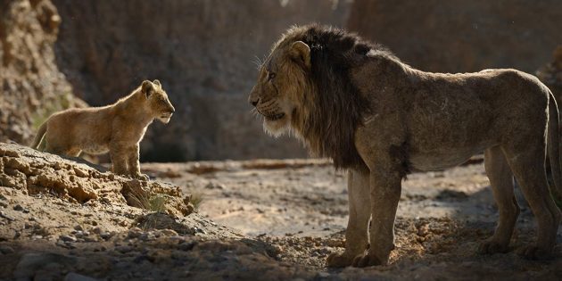 "Liūtas karalius": Simba ir Randų