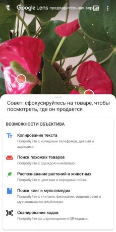 Nustatyti tipų kambarines gėles su "Google" Lens