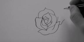Kaip nupiešti 20 skirtingų būdų rožę