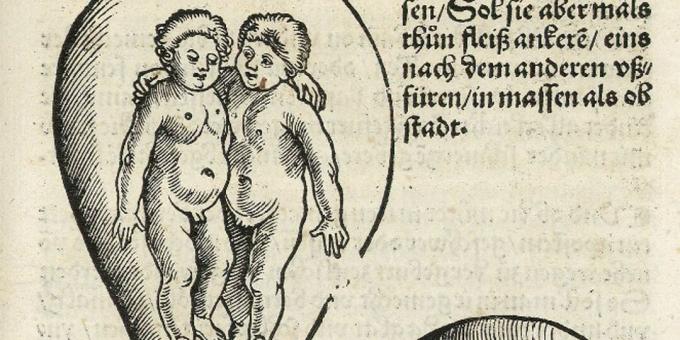 Viduramžių vaikai: dvyniai įsčiose, Eucharijus Rodionas