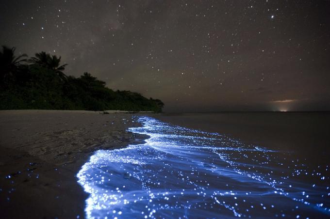 Bioluminescent paplūdimys - Vaadhoo, Maldyvai geriausi paplūdimiai