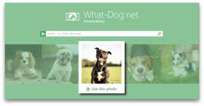 Paduok - naujovės iš "Microsoft", kuri bus pasiimti savo šunį nuotraukos