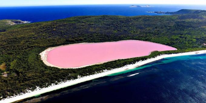Ežeras Hillier Australijoje