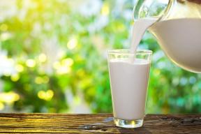 Kur pienas: Tiesa ir mitai apie savo produkcijos