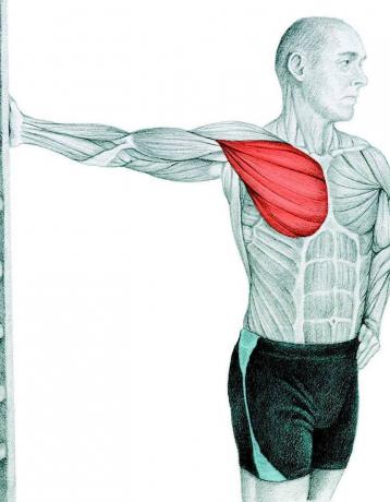 Anatomija tempimas: tempimas krūtinės raumenis sienos