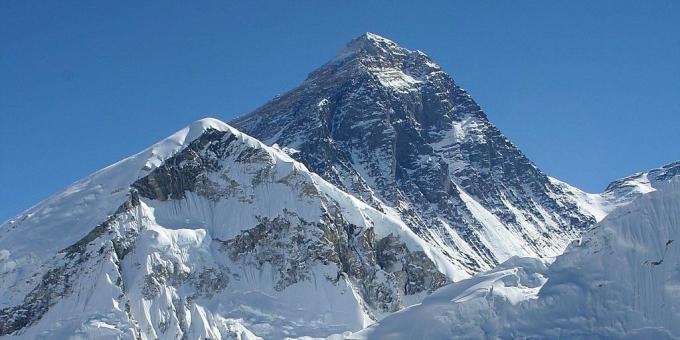 Everesto kalnas auga