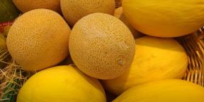 Kaip pasirinkti prinokusių melionų ir saldžių