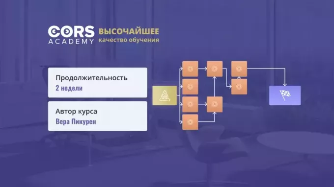 1C diegimo projektų valdymo praktika