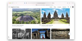 Naujas interaktyvus „Google“ ir UNESCO projektas