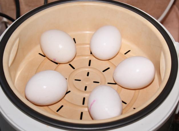 Kaip virėjas kiaušiniai dviviečiame katilo ar multivarka