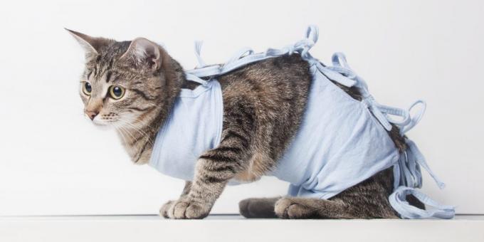 Sterilizacijos kates: antklodė
