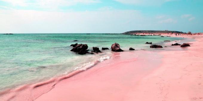 Neįtikėtina graži vieta: rožinė paplūdimys Sardinijoje, Italijoje