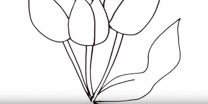 Kaip nupiešti tulpę: pavaizduokite tinkamą lapą