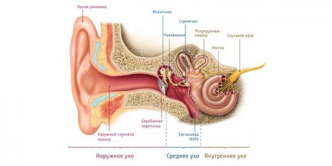 Jei vaikas turi ausies skausmus, yra fiziologinė priežastis