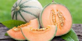 Daugiau naudingos, nei atrodo: 10 priežasčių valgyti melioną