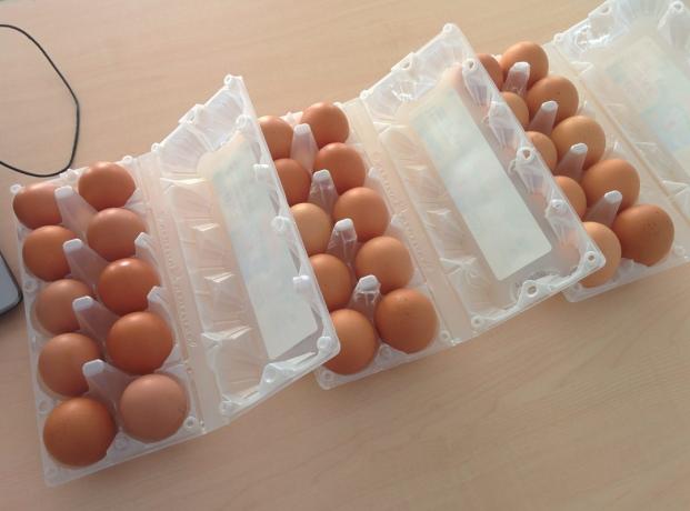 Kas labiau apsimoka pirkti kiaušinius