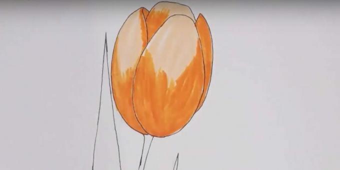 Kaip nupiešti tulpę: nupieškite pumpurą oranžine spalva