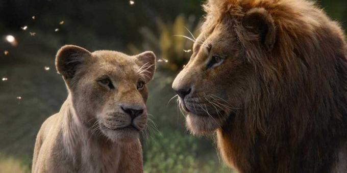 "Liūtas karalius": Nala ir Simba