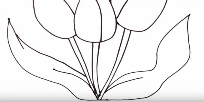 Kaip nupiešti tulpę: pavaizduokite kairįjį lapą
