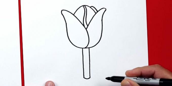 Kaip nupiešti tulpę: pridėkite stiebą