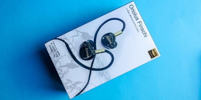 Audiophile headphones Oriolus finschi: Įranga