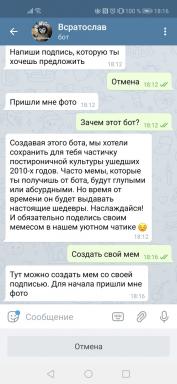 Telegramos botas Vsratoslavas sukuria memą iš bet kurios nuotraukos