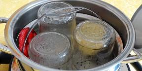 Kaip sterilizuoti stiklainius: 6 paprastos ir įrodyta būdų