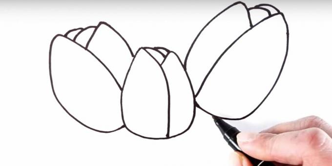 Kaip nupiešti tulpę: pridėkite atgal žiedlapius