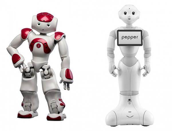Nao humanoidų robotų ir pipirų